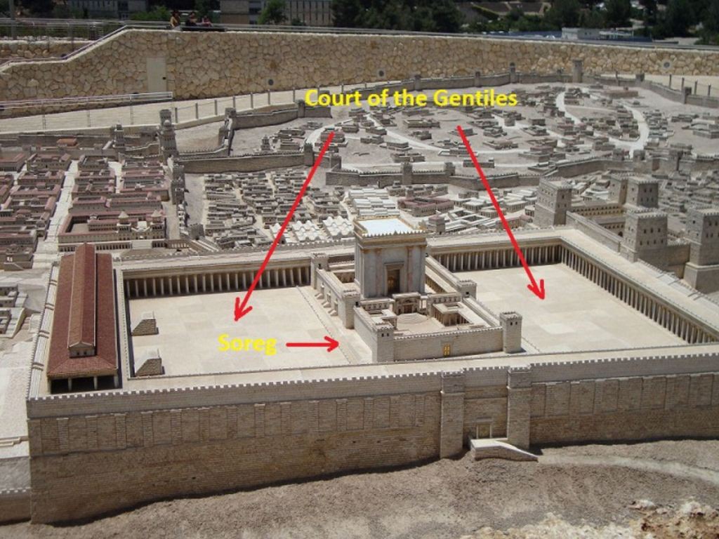 Uncleanness, Sin, and Holiness in the Hebrew Bible