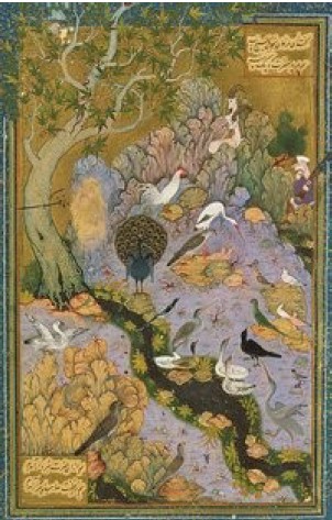 Always Learning, Never Knowing