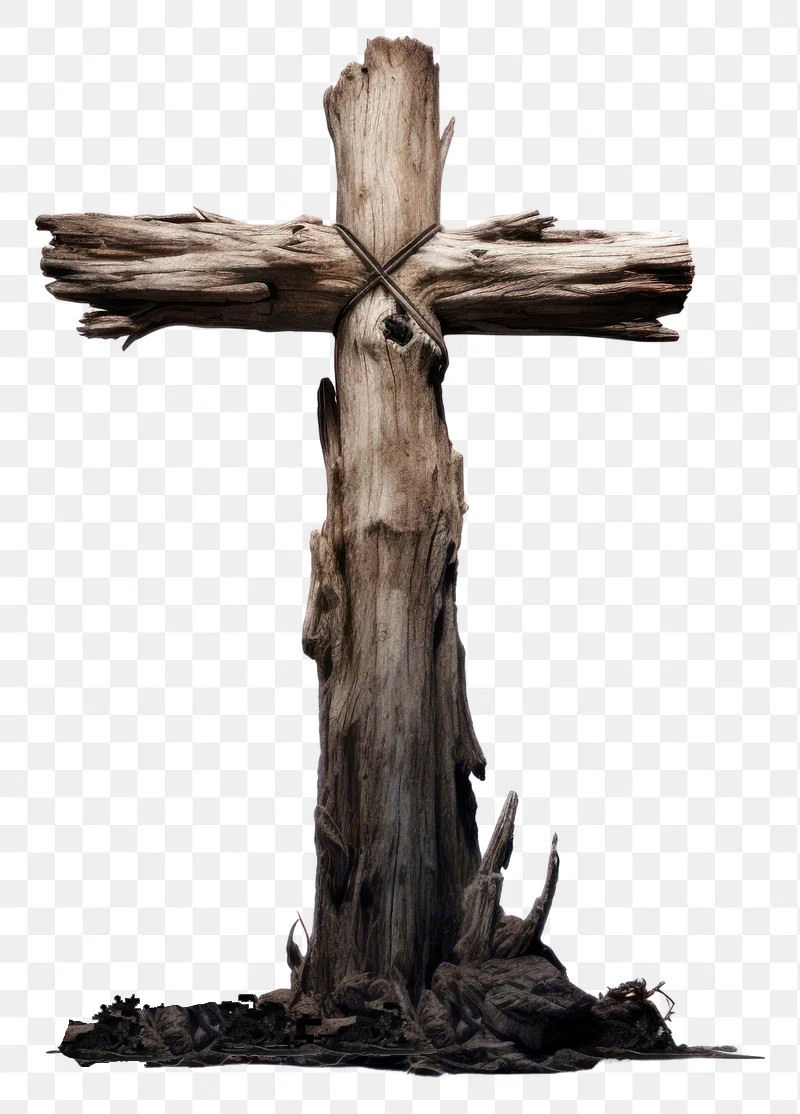 Why Was Jesus Murdered?